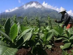 Soal Aturan Turunan PP Kesejaganan, Wakil Rakyat Soroti Minimnya Pelibatan Publik