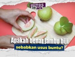 Mitos atau Fakta: Jambu Klutuk Penyebab Usus Buntu